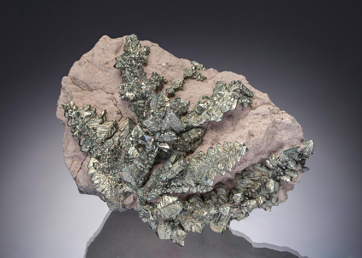 CC11041 specimen image