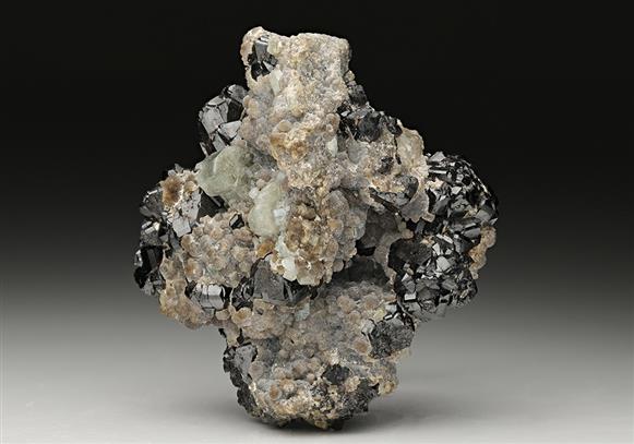 CC11042 specimen image