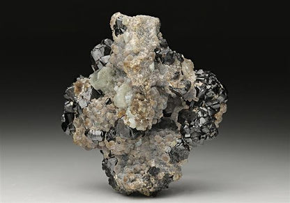 CC11042 specimen image