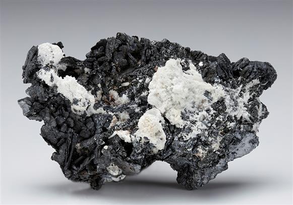 CC11043 specimen image