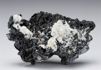 CC11043 specimen image