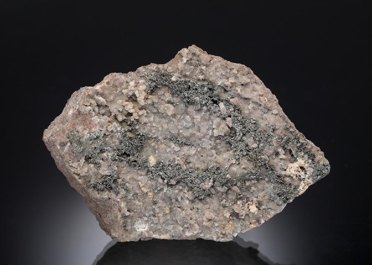 CC11062 specimen image