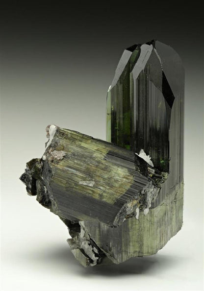 CC11063 specimen image