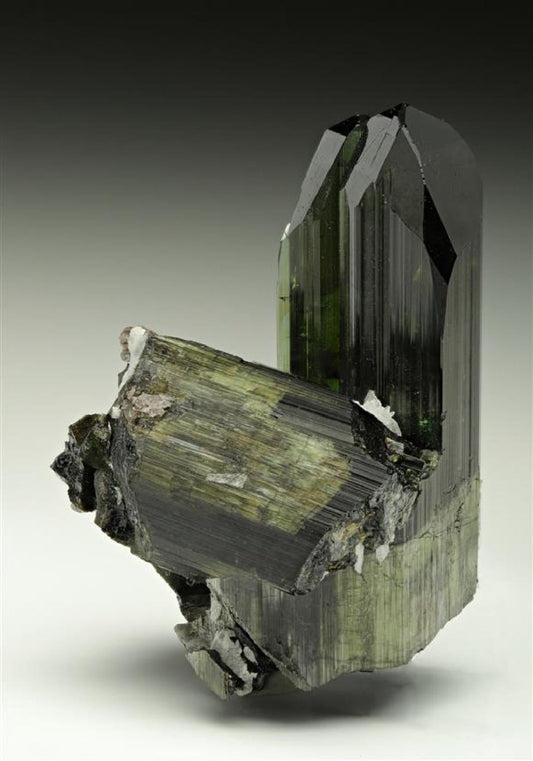 CC11063 specimen image
