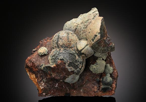 CC11064 specimen image