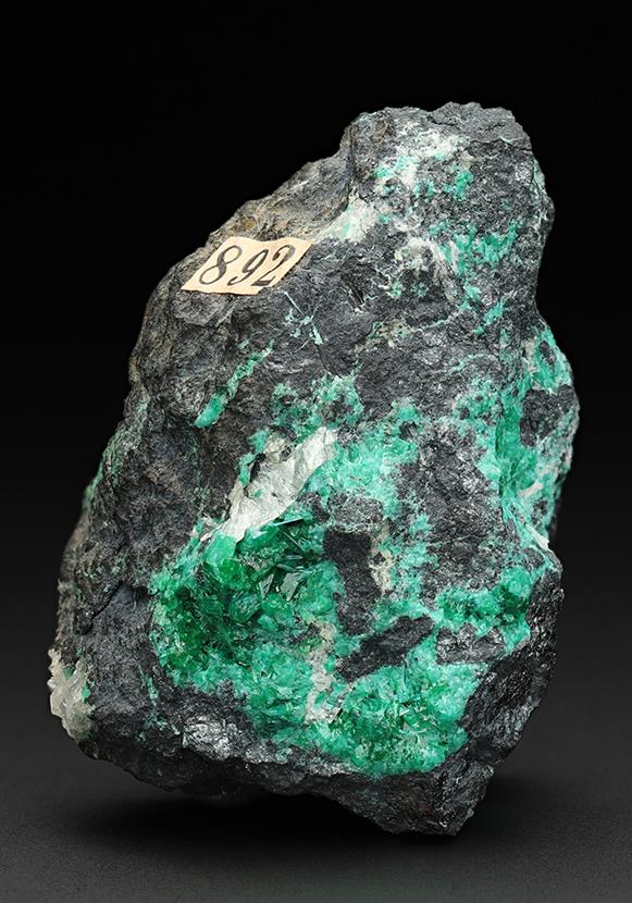 CC11067 specimen image