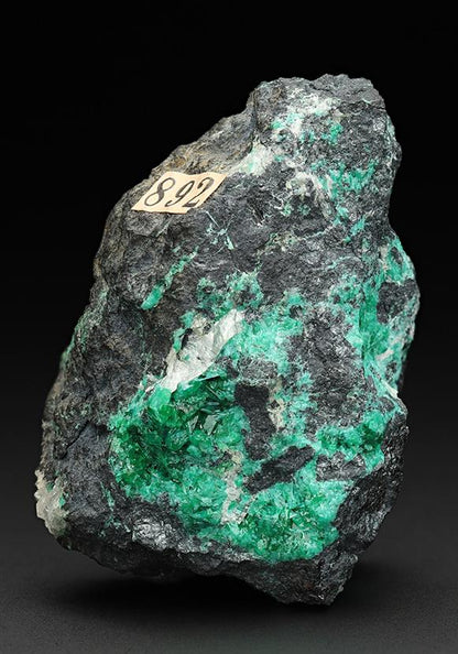 CC11067 specimen image
