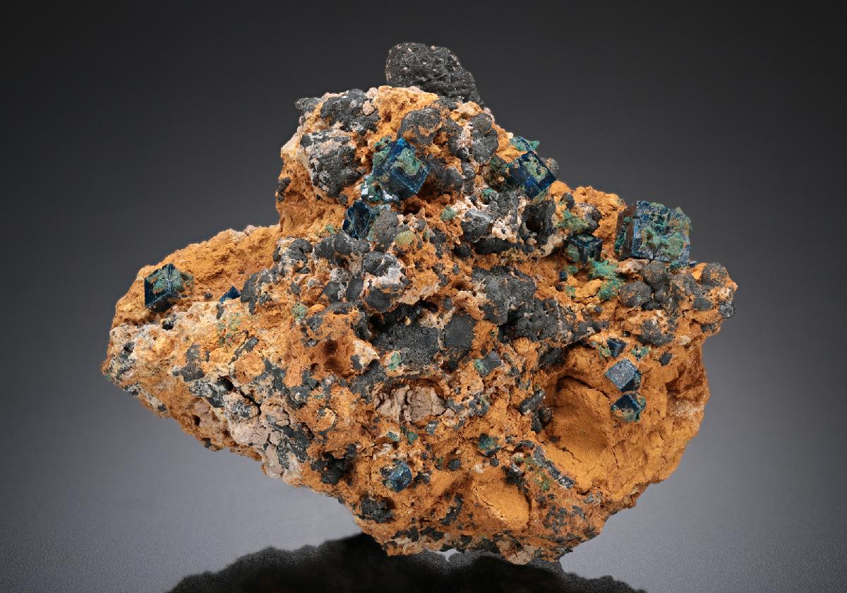 CC11068 specimen image