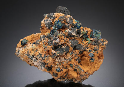 CC11068 specimen image
