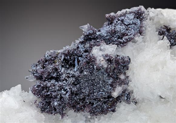 CC11069 specimen image