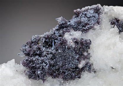 CC11069 specimen image
