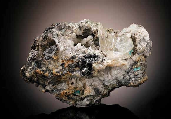 CC11071 specimen image