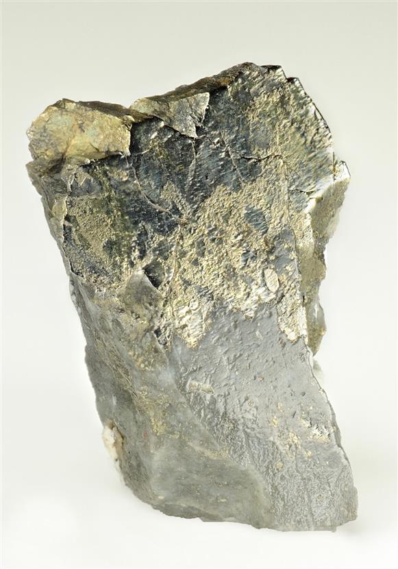 CC11075 specimen image