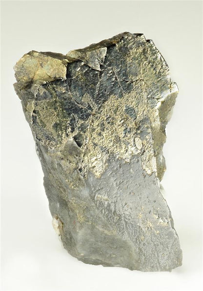 CC11075 specimen image