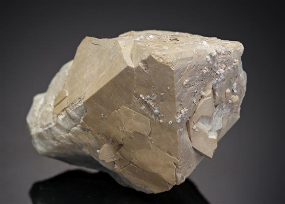 CC11077 specimen image