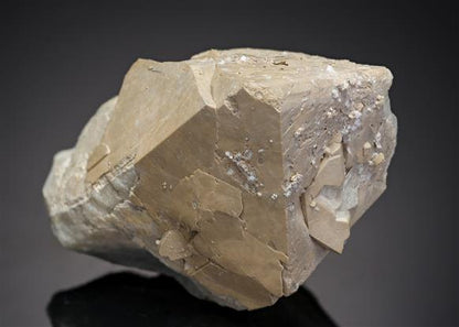 CC11077 specimen image