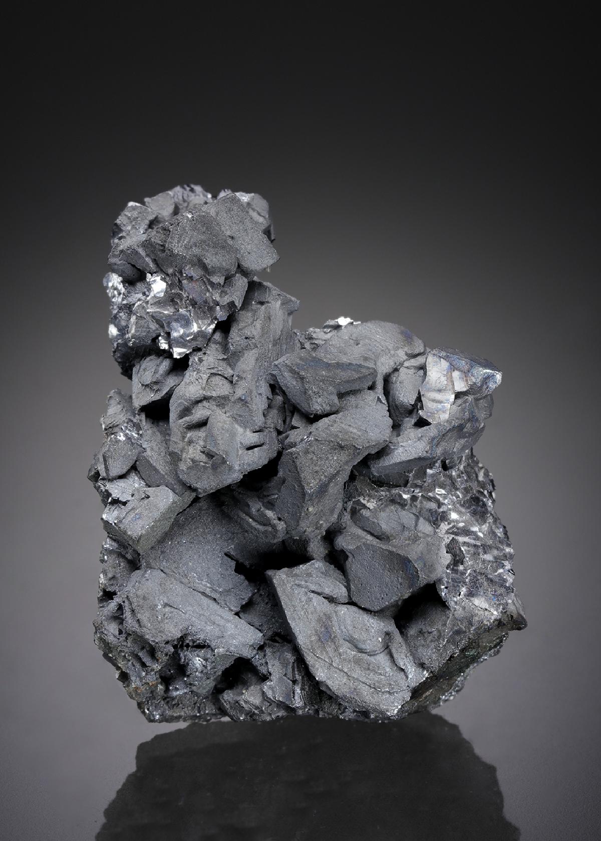 CC11085 specimen image