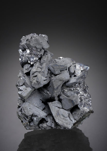 CC11085 specimen image