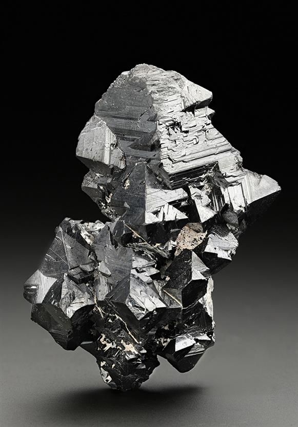 CC11104 specimen image