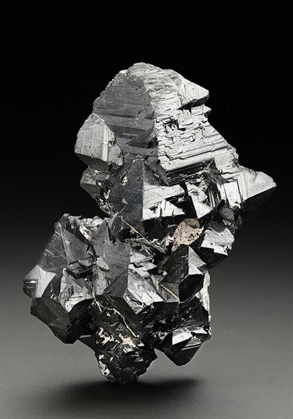 CC11104 specimen image