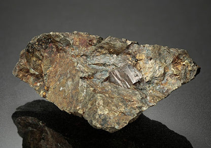CC11147 specimen image