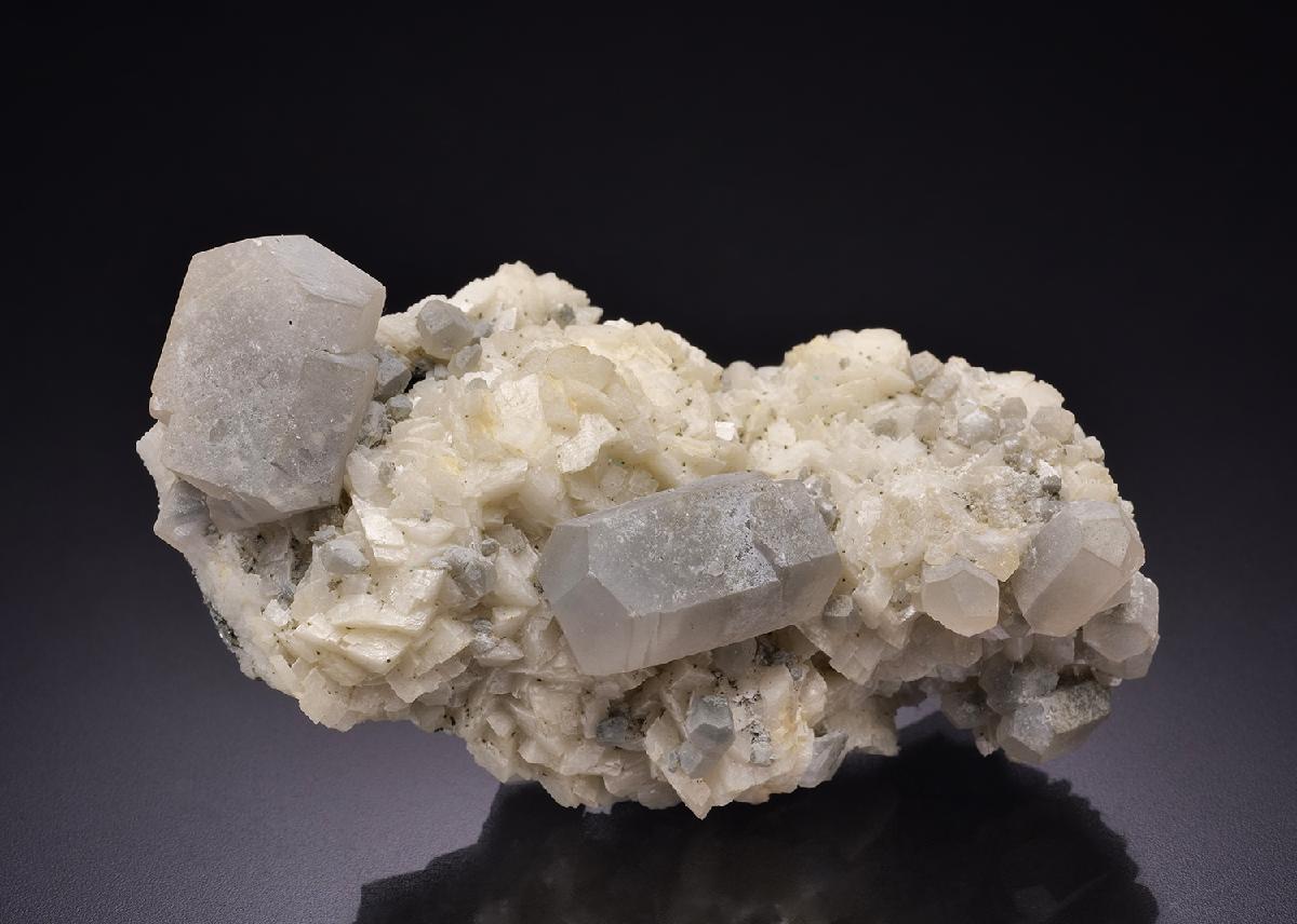 CC11148 specimen image