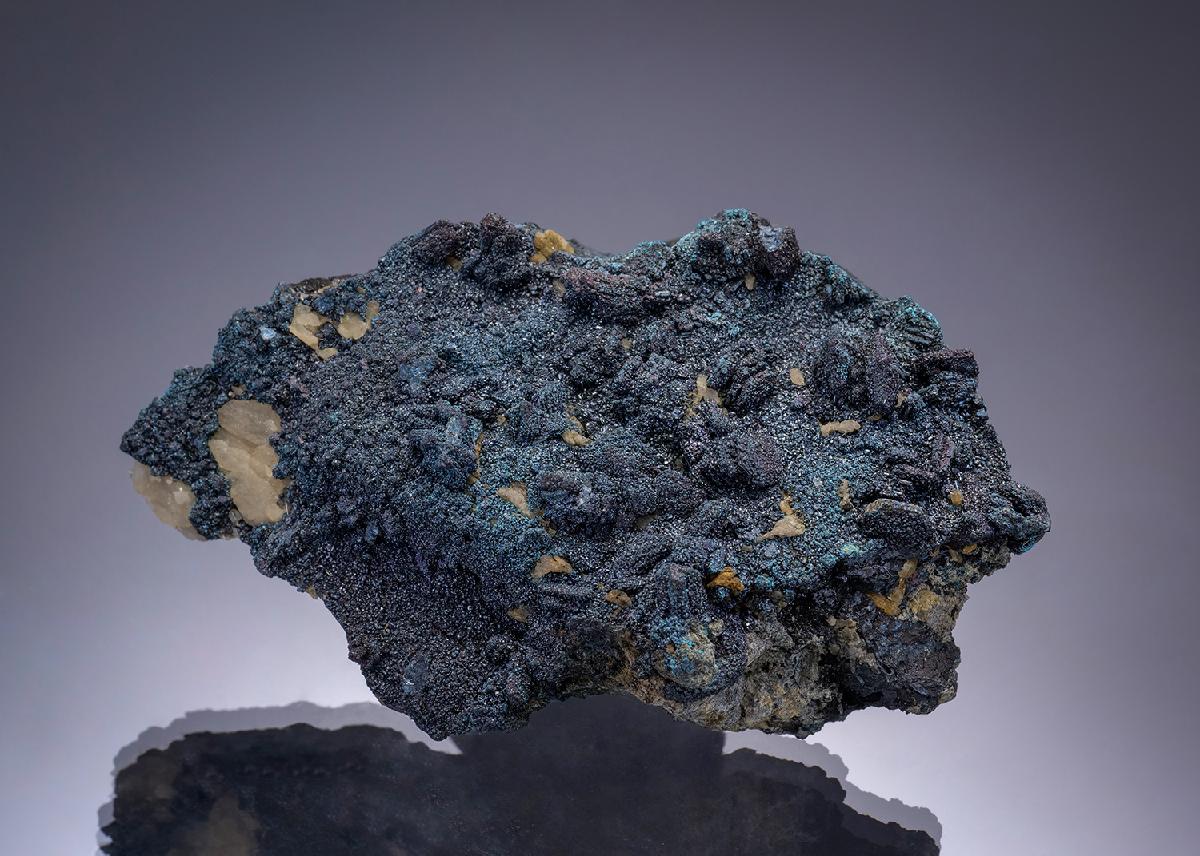 CC1116 specimen image