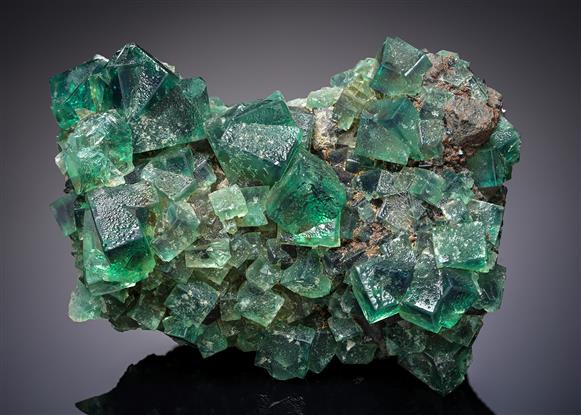 CC11167 specimen image