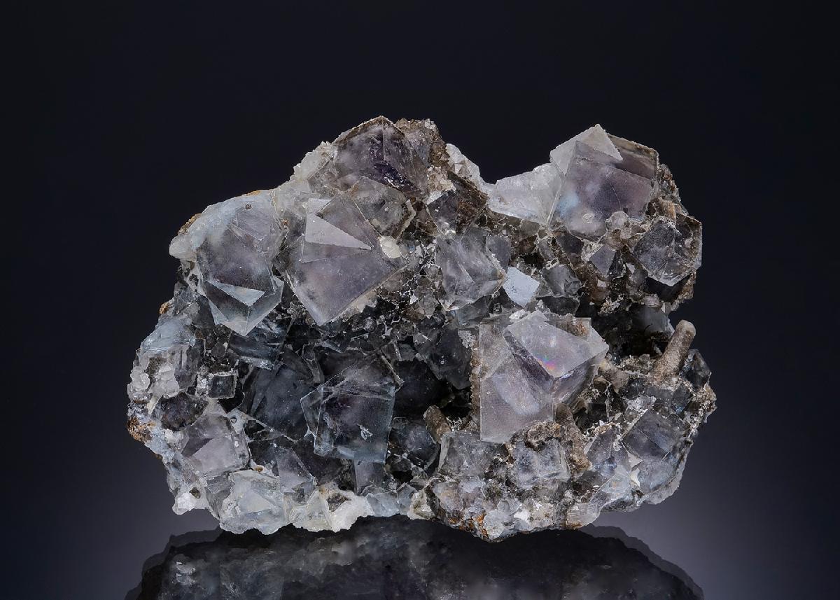 CC11175 specimen image
