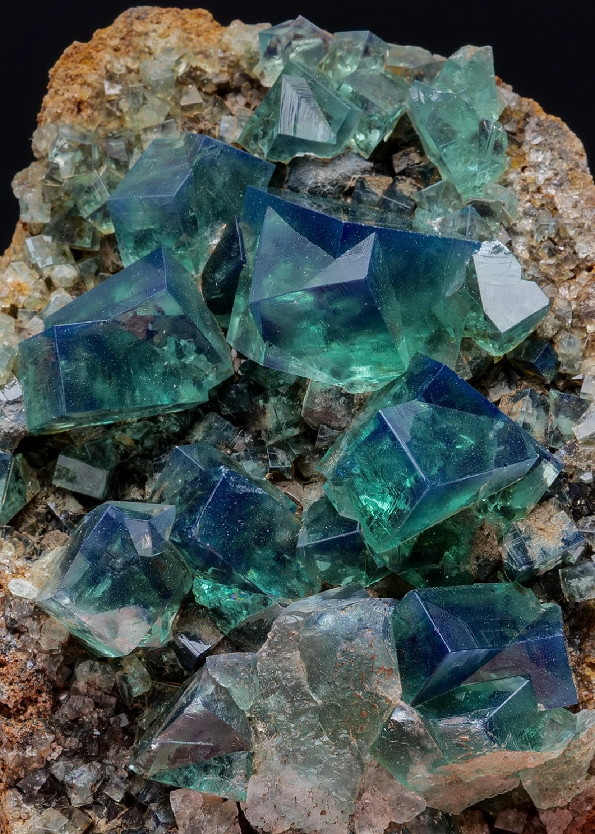 CC11181 specimen image
