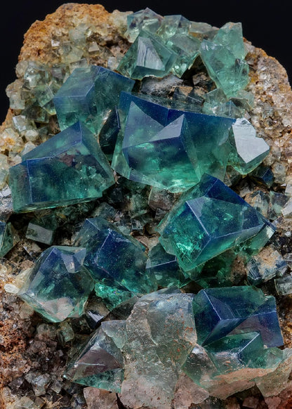 CC11181 specimen image