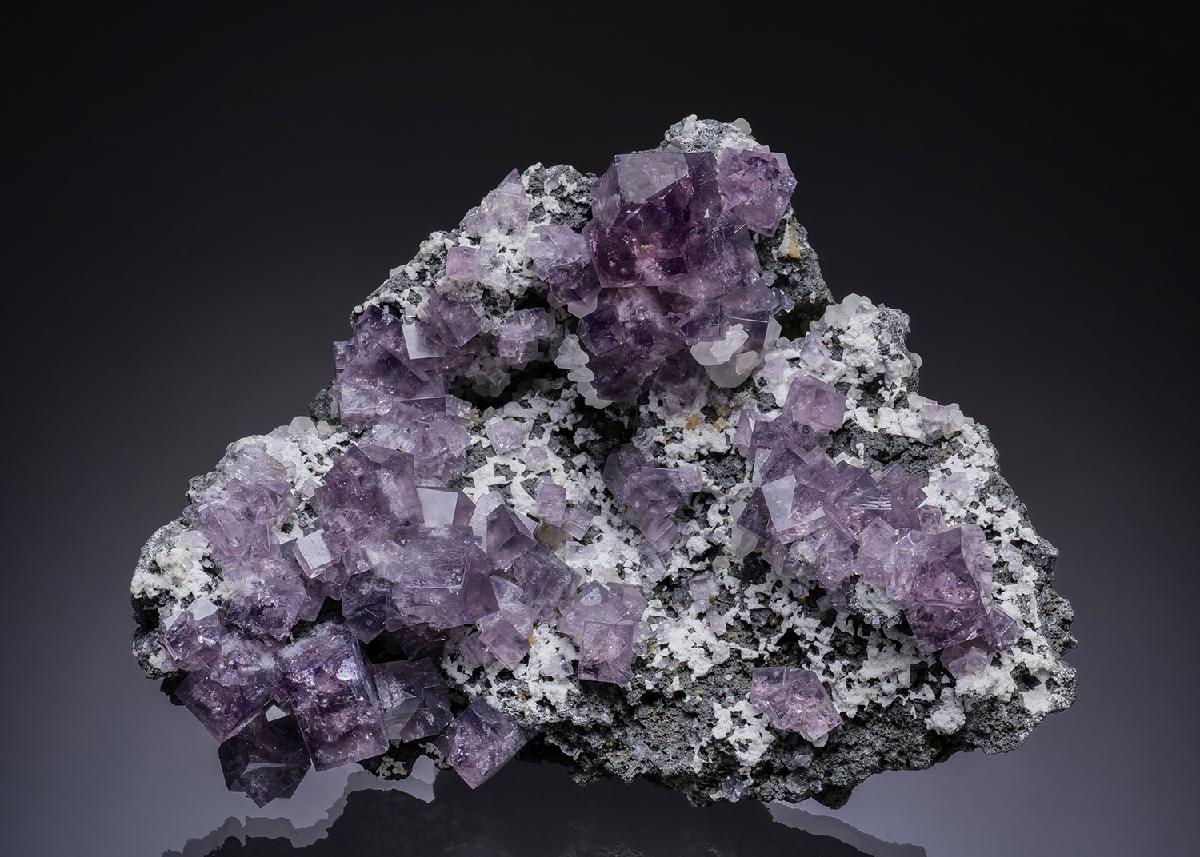 CC11182 specimen image