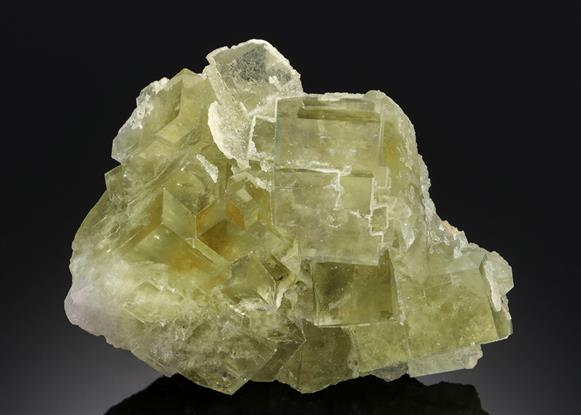 CC11197 specimen image