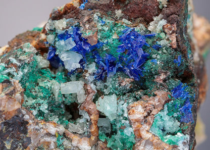 CC11201 specimen image