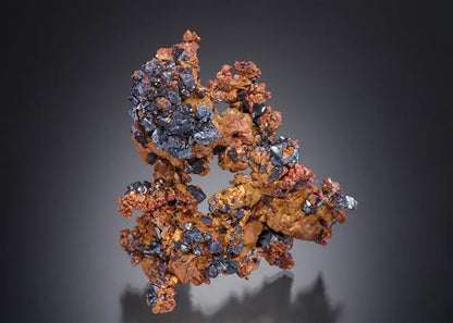 CC11210 specimen image