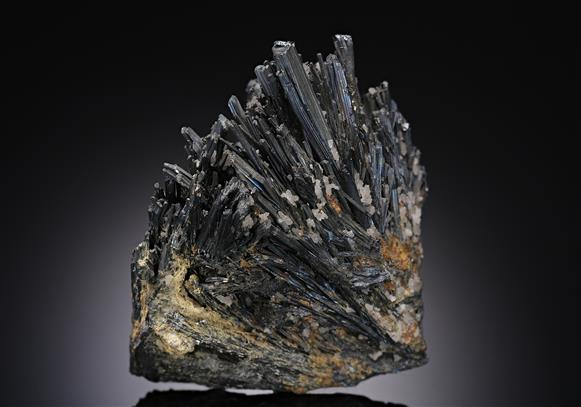 CC11222 specimen image