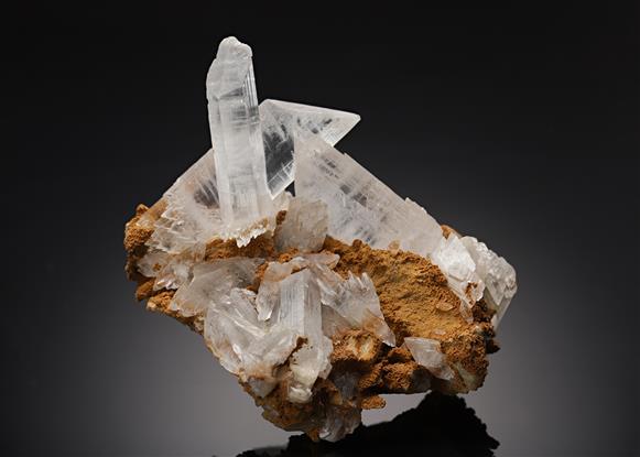 CC11224 specimen image