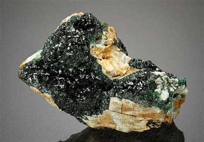 CC11230 specimen image