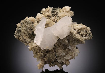 CC11231 specimen image