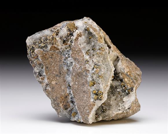 CC11251 specimen image