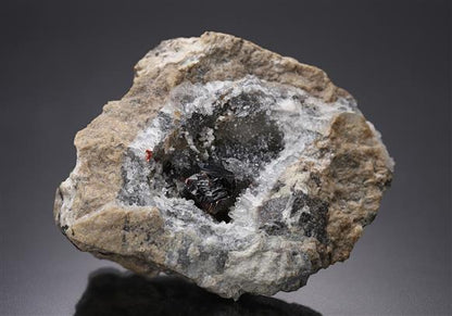 CC11261 specimen image