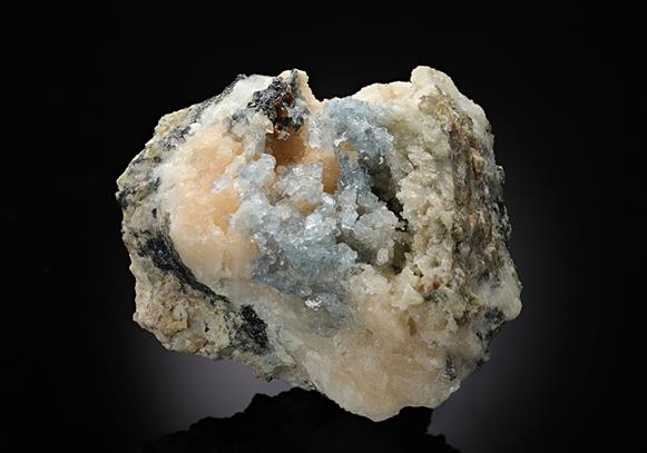 CC11262 specimen image