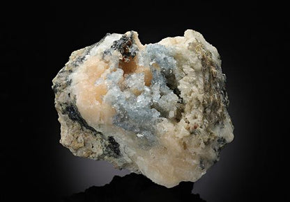 CC11262 specimen image