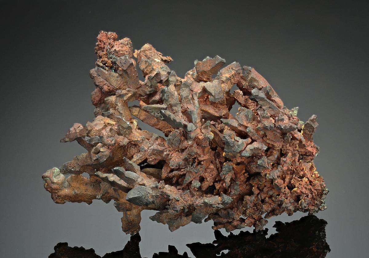 CC11268 specimen image