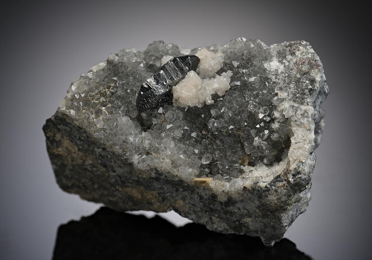CC11269 specimen image