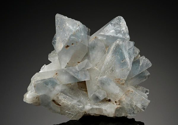 CC11272 specimen image