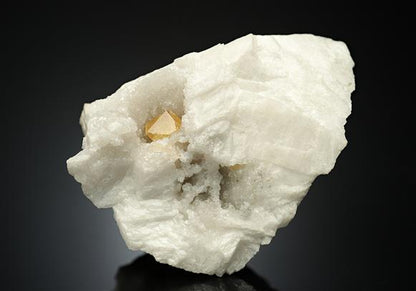 CC11293 specimen image