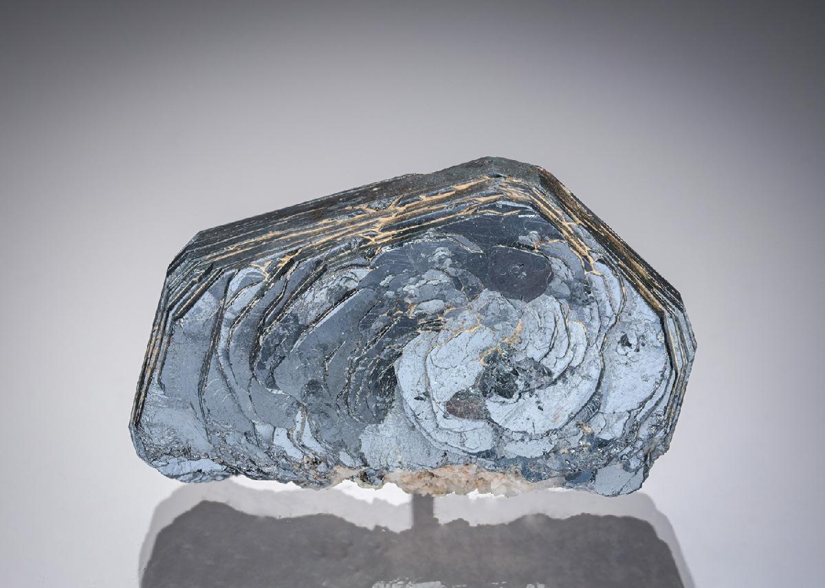 CC11296 specimen image