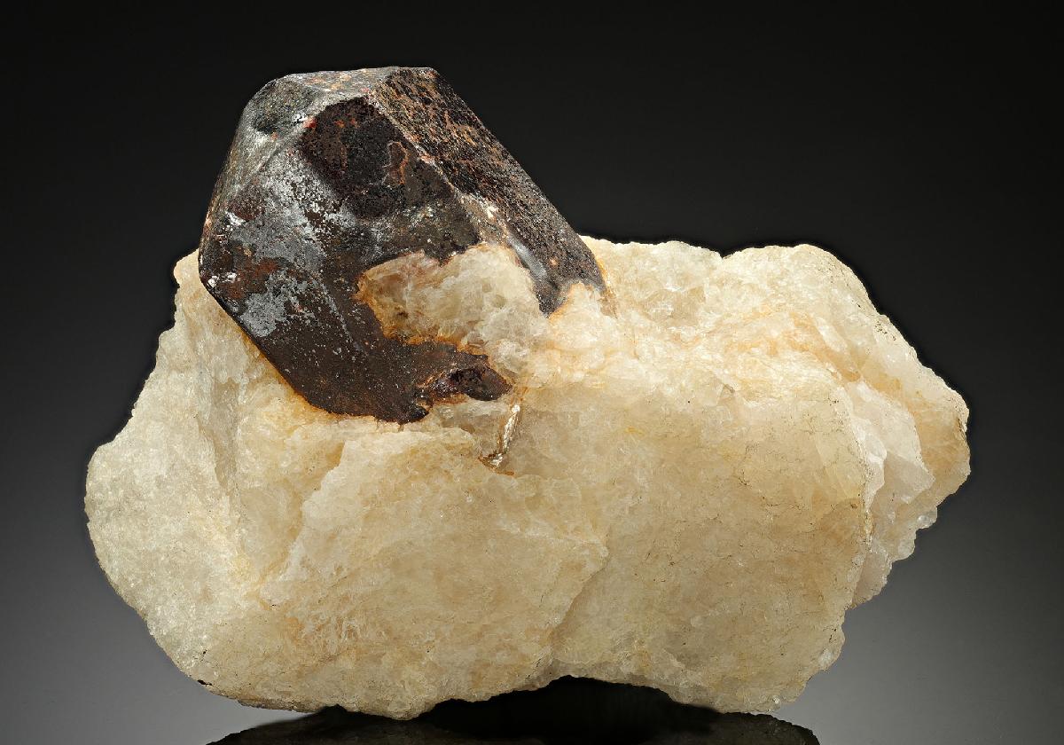 CC11299 specimen image