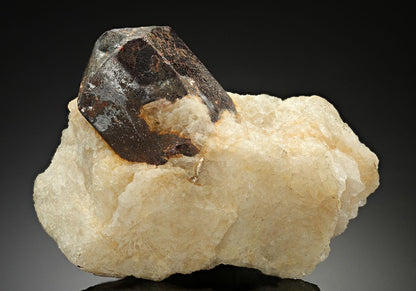 CC11299 specimen image
